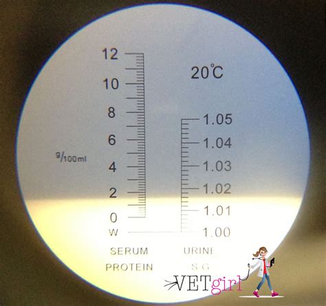 refractometer to measure protein|total protein dog normal range.